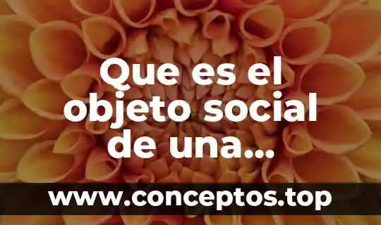 Que es el objeto social de una empresa de alimentos