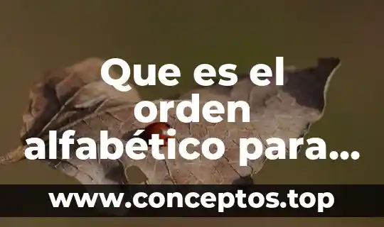 Que es el orden alfabético para niños de primaria