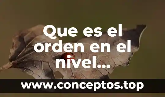 Que es el orden en el nivel fonético-fonologico