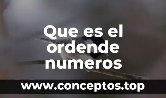 Que es el ordende numeros
