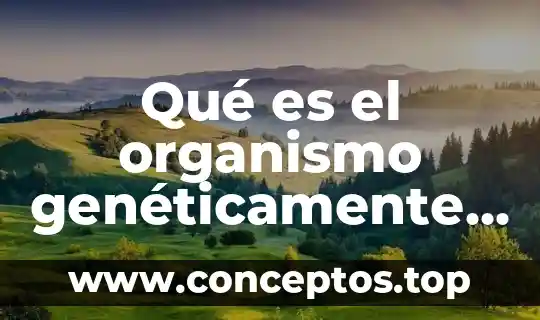 52 Que es un rango modificado 5 Qué es el organismo genéticamente modificado OMG