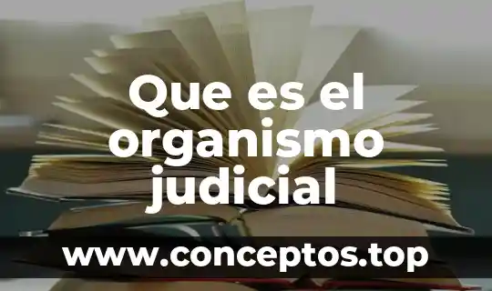 Que es el organismo judicial