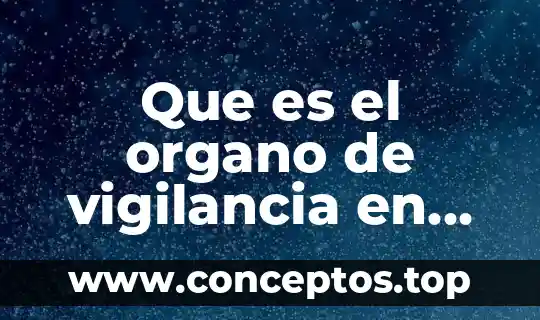 Significado de que es un órgano humano 8 Que es el organo de vigilancia en una sociedad