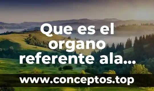 Significado de que es un órgano humano 6 Que es el organo referente ala biologia
