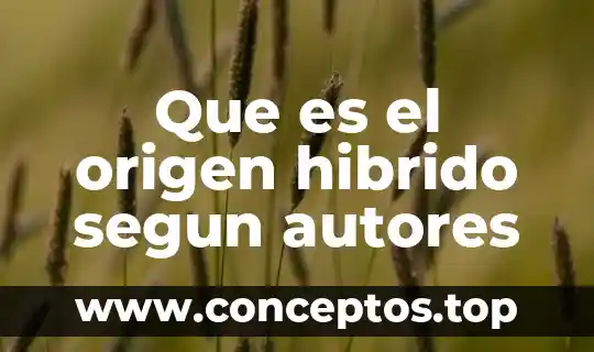 Que es el origen hibrido segun autores
