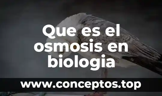 Que es el osmosis en biologia