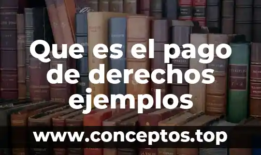 Que es la administracion de pago 4 Que es el pago de derechos ejemplos