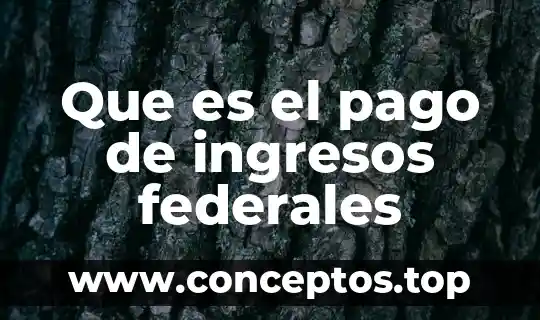Que es mas importante egresos o ingresos 3 Que es el pago de ingresos federales