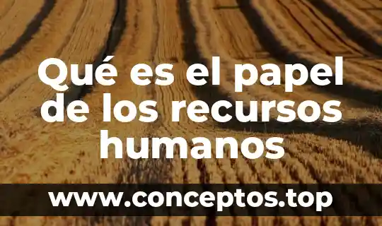 Qué es el papel de los recursos humanos