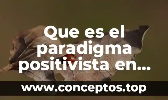 Qué es velocidad de reacción compleja en educación física 7 Que es el paradigma positivista en educacion