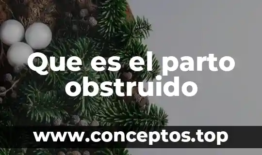 Que es el parto obstruido