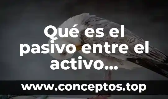 Qué es el pasivo entre el activo circulante