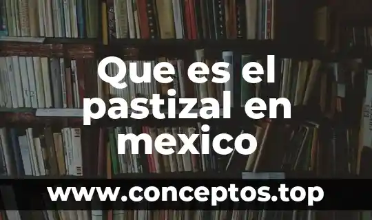 Que es el abandono infantil en mexico 3 Que es el pastizal en mexico