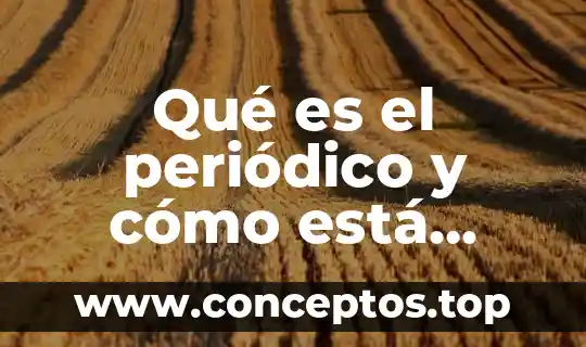 Qué es el periódico y cómo está conformado