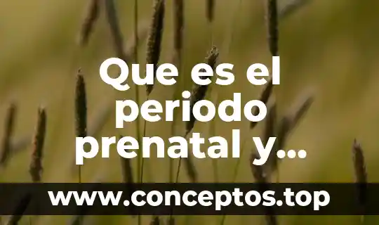 Que es un signo vital y su importancia 6 Que es el periodo prenatal y postnatal