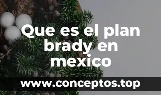 Que es el plan brady en mexico