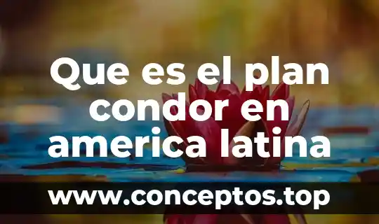 Que es el proyecto tuning latino america 8 Que es el plan condor en america latina