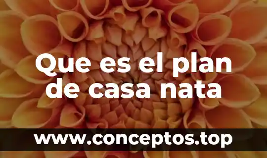 Que es el plan de casa nata