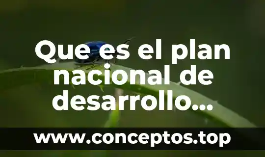 Qué es el interés de desarrollo humano 3 Que es el plan nacional de desarrollo vigente