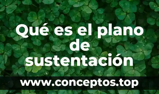 Qué es el plano de sustentación