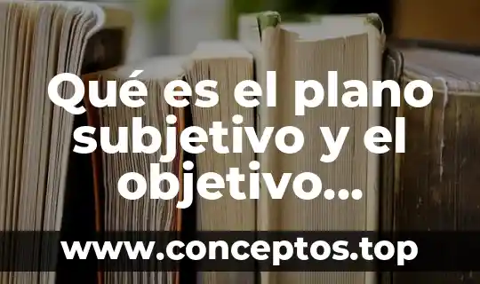 Qué es el plano subjetivo y el objetivo literatura