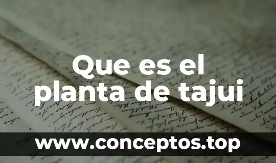 Que es la planta interna 4 Que es el planta de tajui