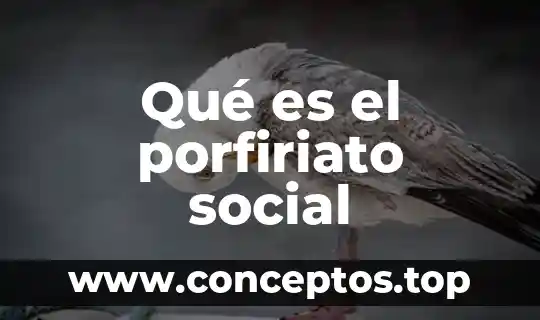 Qué es el porfiriato social