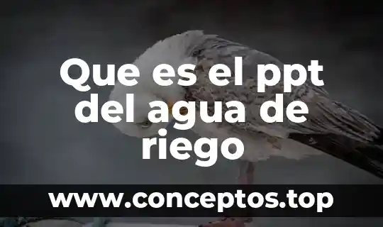 Que es el ppt del agua de riego