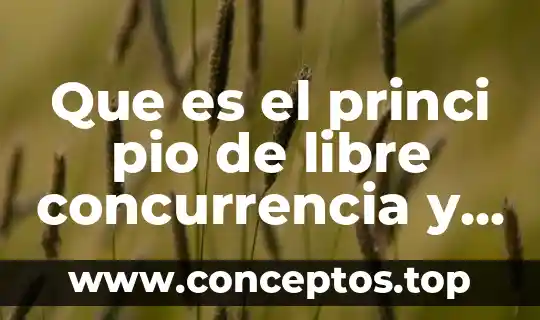 Que es el princi pio de libre concurrencia y competencia