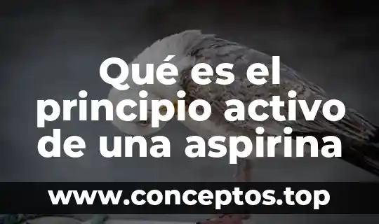 Qué es el principio activo de una aspirina