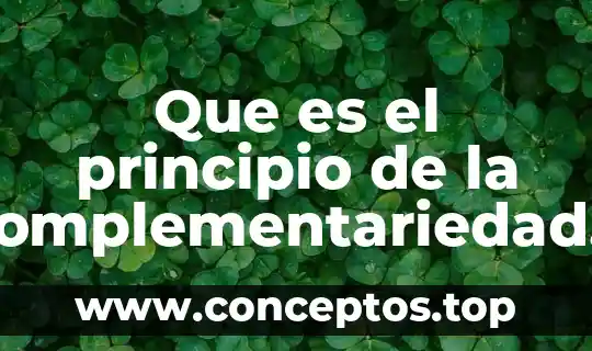 Que es el gobierno segun aristoteles 6 Que es el principio de la complementariedad según bohr