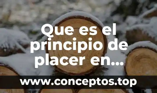 Que es el principio de placer en psicologia