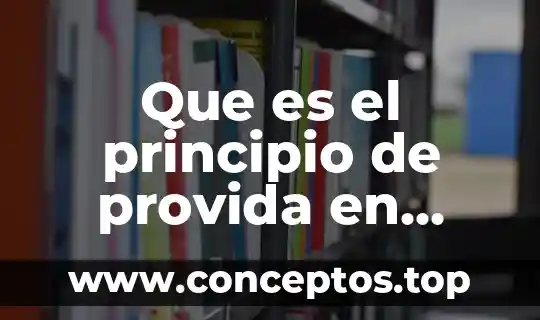Que es rendimiento de materia prima 3 Que es el principio de provida en materia de amparo