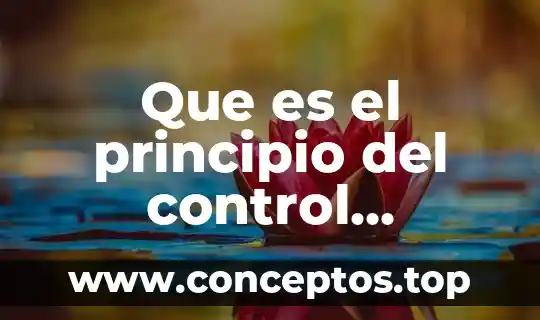 Que es el principio del control jurisdiccional