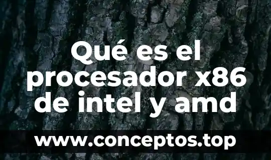 Qué es el procesador x86 de intel y amd