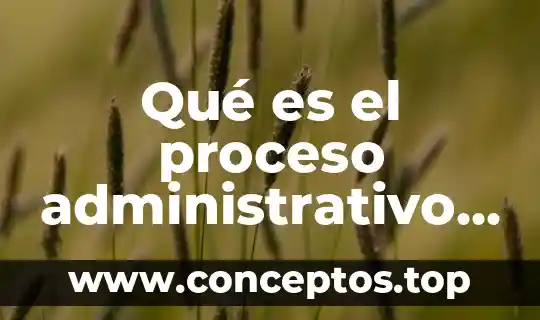 Que es el control en proceso administrativo 6 Qué es el proceso administrativo y sus pasos