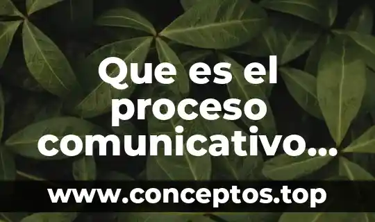 Que es el dhl y cuales son sus valores 3 Que es el proceso comunicativo cuales son sus procesos comunicativo