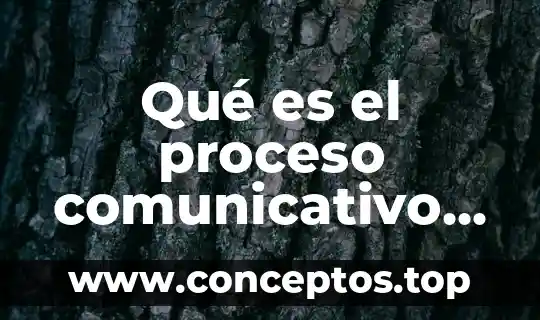 Qué es el proceso comunicativo según autores