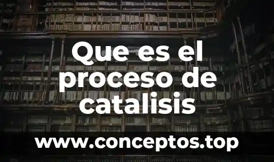 Que es el proceso de direccion 7 Que es el proceso de catalisis