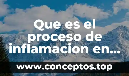 Que es el proceso de inflamacion en animales