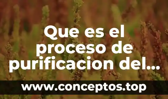 Que es el proceso de purificacion del agua