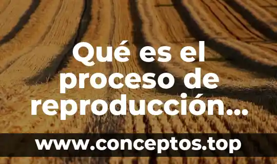 Qué es el proceso de reproducción de plantas y animales