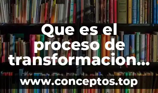 Por que es obligatorio una ley 4 Que es el proceso de transformacion en una empresa
