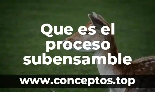Que es el proceso subensamble