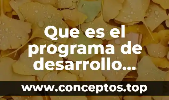 Que es el programa de desarrollo metropolitano