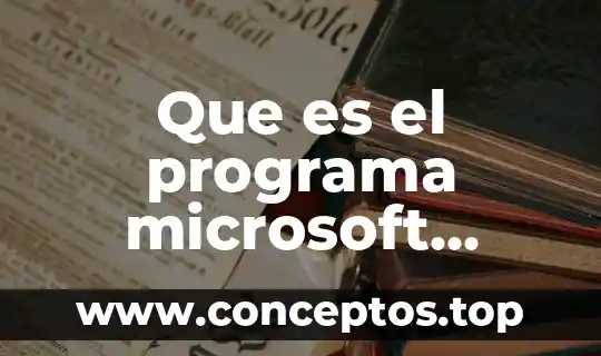 Que es el programa microsoft office excel