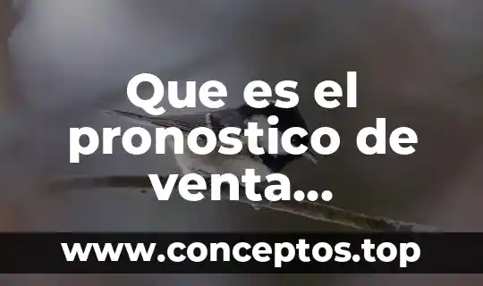 Que es fibra optica concepto y definicion 3 Que es el pronostico de venta definicion