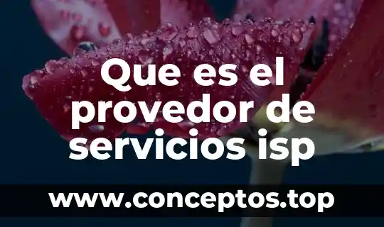 Que es el provedor de servicios isp