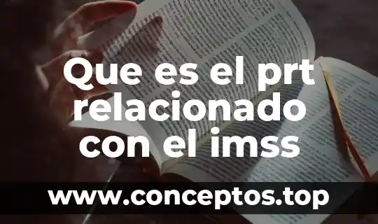 Que es el prt relacionado con el imss
