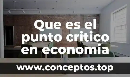 Que es el punto critico en economia